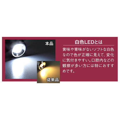 [現貨] 多彩白光電筒筆