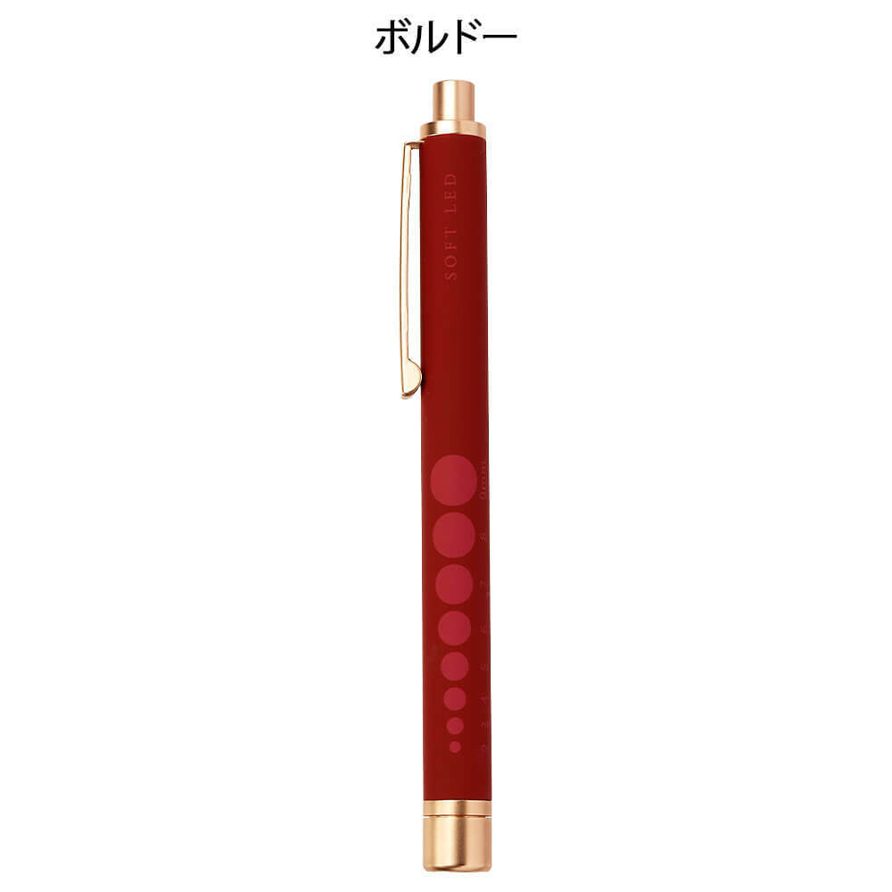 [預購] 輕巧橡膠質感電筒筆（香檳金色×淡雅色調）